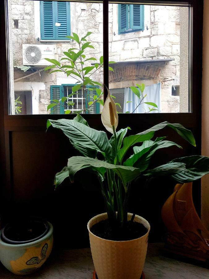 Centar App.dijana Apartment Split